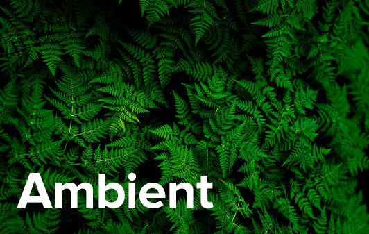 Ambient Music